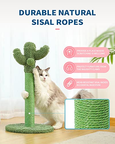 Made4Pets Cactus Cat Scratching Post for Small Indoor Cats & Kittens (Small - 21.7")