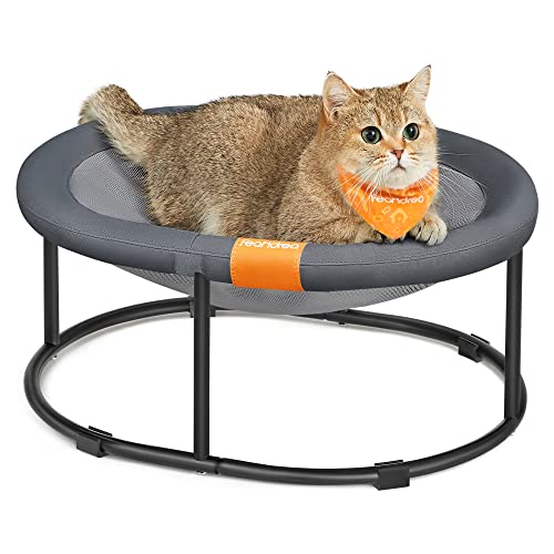 Elevated Cat Bed (20.5"L x 16.5"W x 7.9"H / 1 Tier)