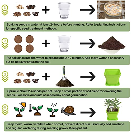 10 Herb Seeds Garden Starter Grow Kit with Green Pots (green)
