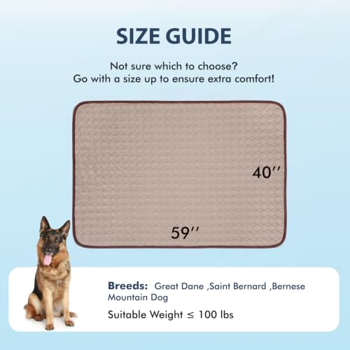 Summer Cooling Mat & Sleeping Pad (59" x 40" / Brown)