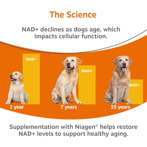 NAD+ Senior Dog Supplement (30 Count (Pack of 1))