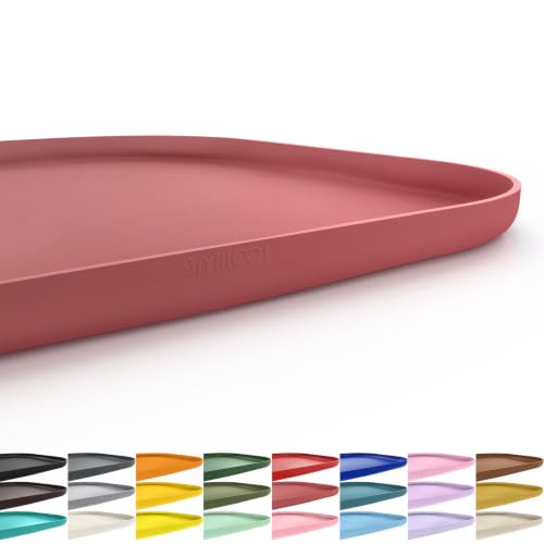 Waterproof Silicone Pet Food Mat with Raised Edge for Dog & Cat (Erythrinus / 22"L x 14"W)