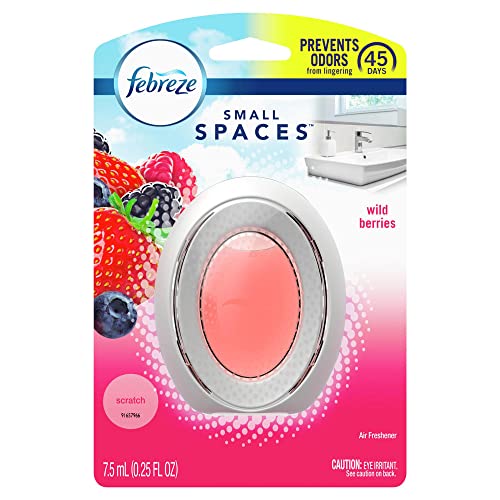 Small Spaces Air Freshener (1 Count (Pack of 1))