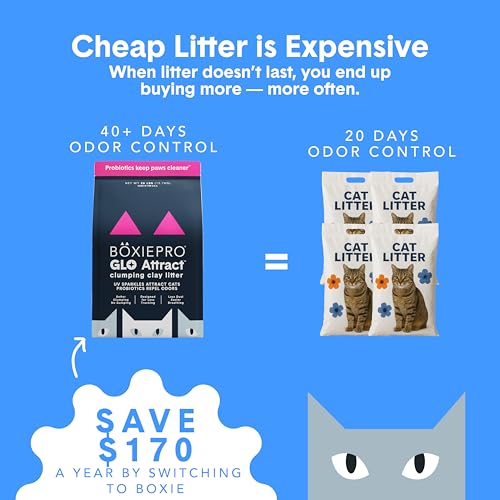 Boxie Glo Attract Clumping Cat Litter 40+ Day Odor Control Dust Free 28 lb (28 lb)