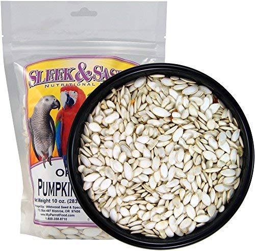 Oregon Pumpkin Seeds Bird Treat (10 Ounce (Pack of 1))