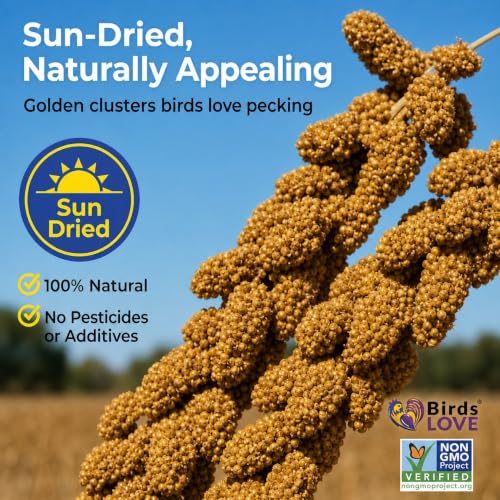 1lb Economy & Special Spray Millet for Birds (1 Pound (Pack of 1))