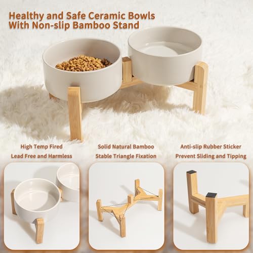 Elevated Ceramic Dog Bowl (Light Gray / Medium)