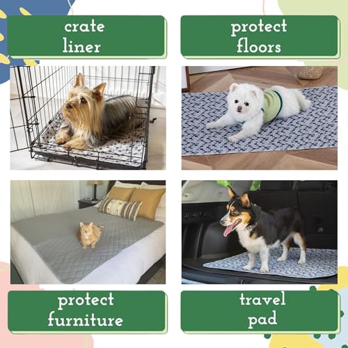 18x24 Potty Pads (18" x 24" / Variety 4 Pack)