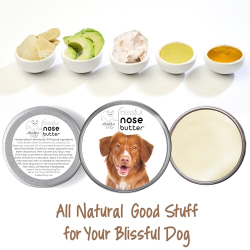 Nova Scotia Duck Tolling Retriever Unscented Nose Butter (Nova Scotia Duck Tolling Retriever / 1 Ounce)