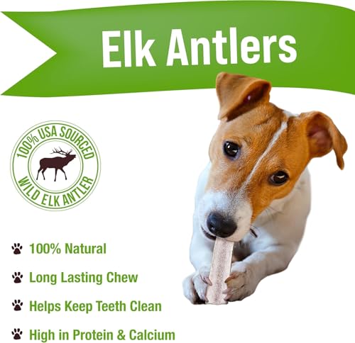 Dog Chews Elk Antlers for Dogs (3 Pack / Small)