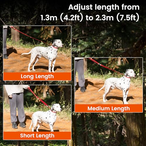 Multifunctional Adjustable Hands Free Leash (Green / Standard)