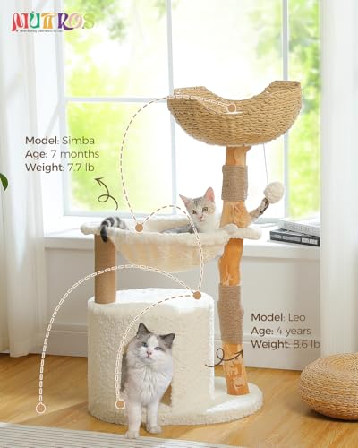 Modern Cat Tree for Large Cats (40" / Cloud White)