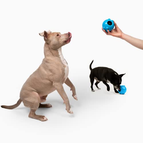 Jolly Dipper Treat Dispensing Dog Toy (Small (3 in))