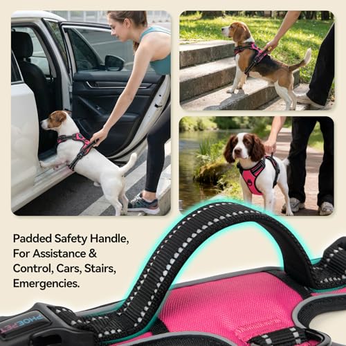 No Pull Dog Harnesses for Small Puppies Reflective Adjustable (Small / Pink)