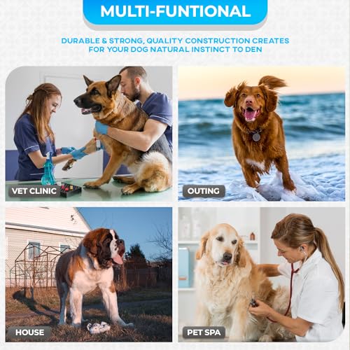 42" Foldable Metal Dog Crate (Blue)
