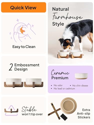 Ceramic Dog Bowls for Medium Large Dogs (L-5 Cups / Lines+Dot)