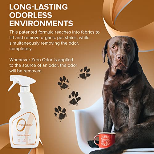 Pet Stain Remover & Odor Eliminator Spray for Carpet