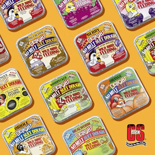 Berry Delight No Melt Suet Dough (1.47 Ounce (Pack of 8) / Berry, 8 Pack)