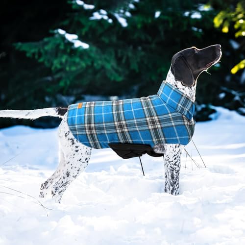 Waterproof Dog Coat (Blue / Small (Pack of 1))