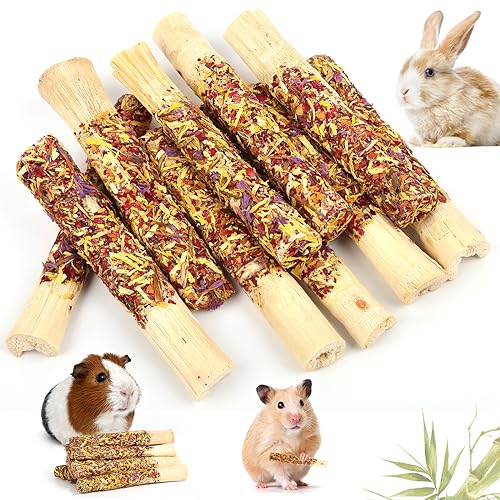 Natural Rabbit Chew Toys
