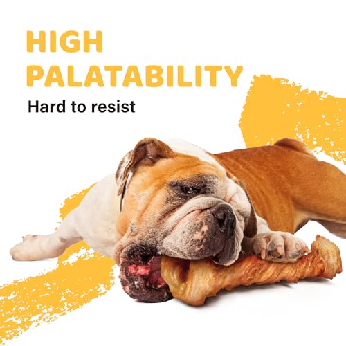 Turkey Tendon for Dogs