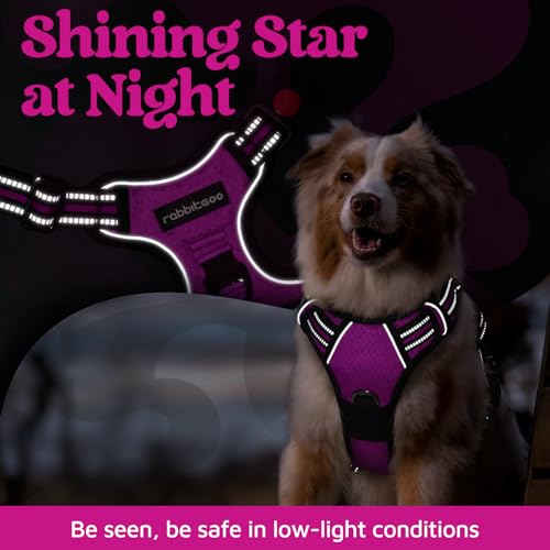 Dog Harness Small Sized (Purple / Small)