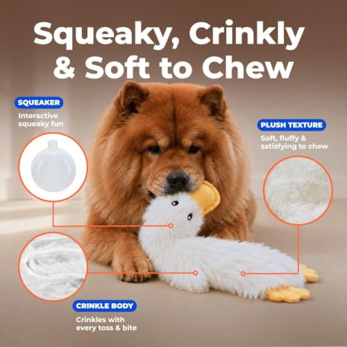 Interactive Squeaky Dog Toy (Crinkle Duck (White) / Large)