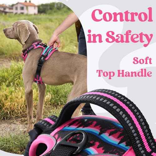 Dog Harness Small Sized (Mountain Rose / Small)