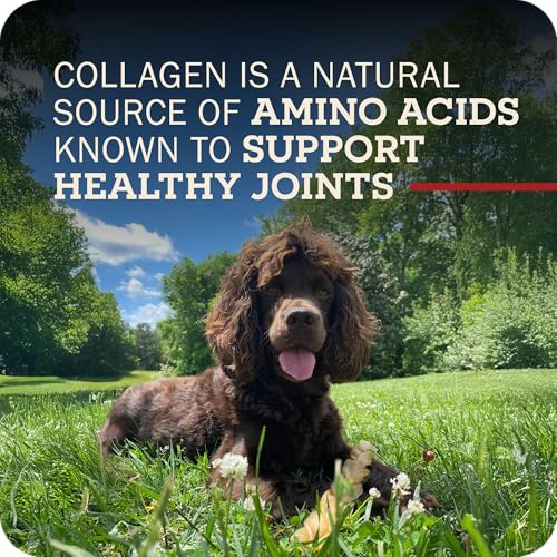 Redbarn X Large Collagen Sticks Natural Beef Dog Treats 25 (X-large / 4.2 Ounce (Pack of 25))
