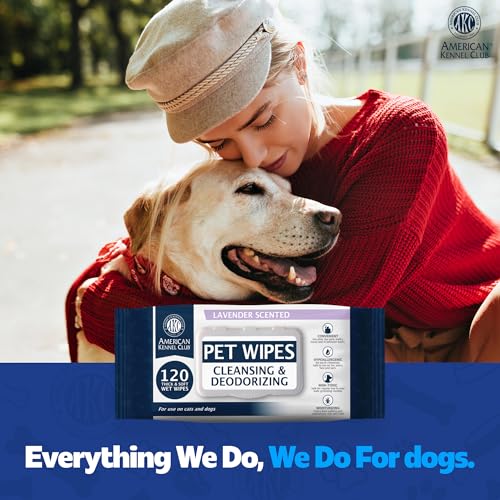AKC Pet Wipes for Dogs & Cats (100 Count - Pack of 2)