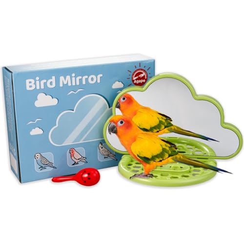 Bird Mirror with Perch&Slow Feeder (Olive / 7.28" L x 3.5" W x 5.5" H)