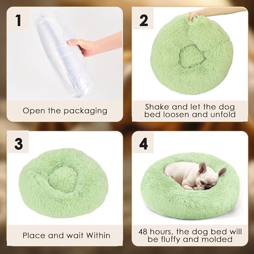 Dog & Cat Bed (Green / 20.0"L x 20.0"W x 8.0"Th)