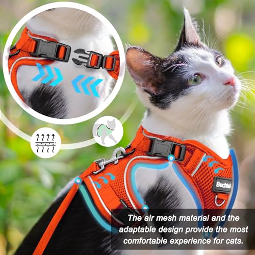 Cat Harness and Leash for Walking (Orange / Small (7-12lb))