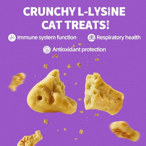 13.4 OZ Lysine Cat Treats Natural Salmon Flavor Healthy Cat Training Biscuits Snacks Lysine Dental Care Treats for Cats & Kittens