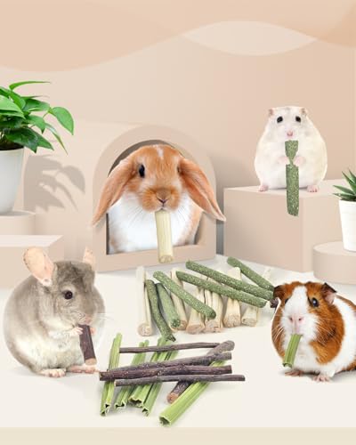 60PCS Rabbit Chew Sticks