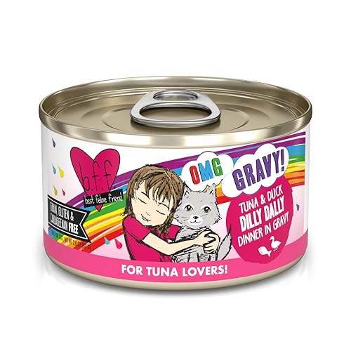 B.F.F. OMG Best Feline Friend Oh My Gravy! (2.8 Ounce (Pack of 12))