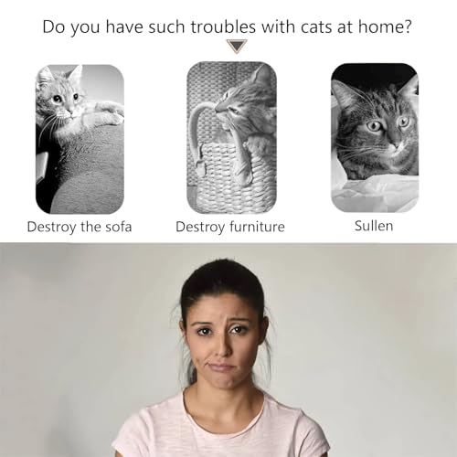 Kitty kurlz Magic Organ Cat Scratcher Board Cat Ball Adventure The Ultimate Interactive Mental Physical Exercise for Indoor Cats Toy