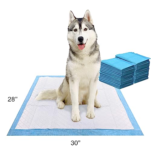 Wee Wee Odor Control X (28" x 30" (30 Count))