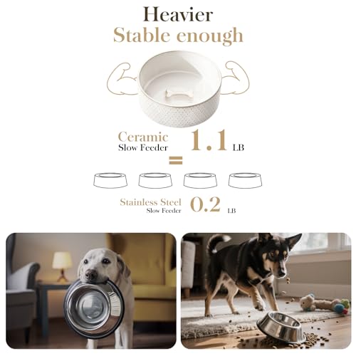 Ceramic Dog Food Bowl (Honeycomb / 6 Cups)
