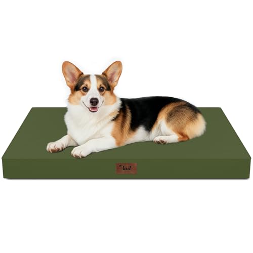 Outdoor Waterproof Orthopedic Dog Bed for Large Dogs (Amy Green / 36.0"L x 27.0"W x 3.0"Th)