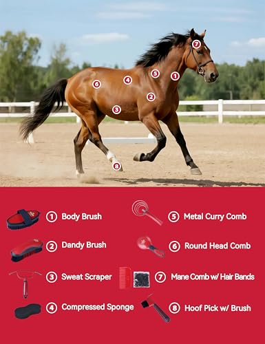 Horse Grooming Kit (Shadowberry)
