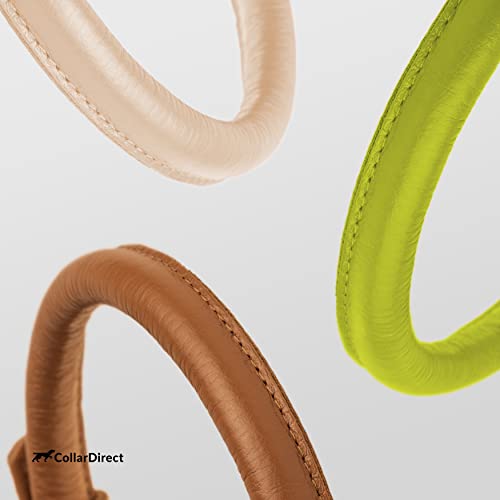 Tangle Free Rolled Leather Dog Collar (Lime Green / XL)