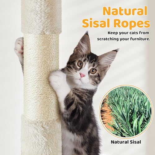 Cat Tree 54in Tall Cat Tower for Indoor Cats with Extended Platform & Basket (Beige)