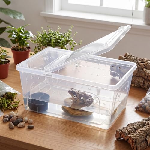8 Pcs Reptile Breeding Box (Vent Holes / Clear / 12.6 x 8.66 x 5.91 Inches)