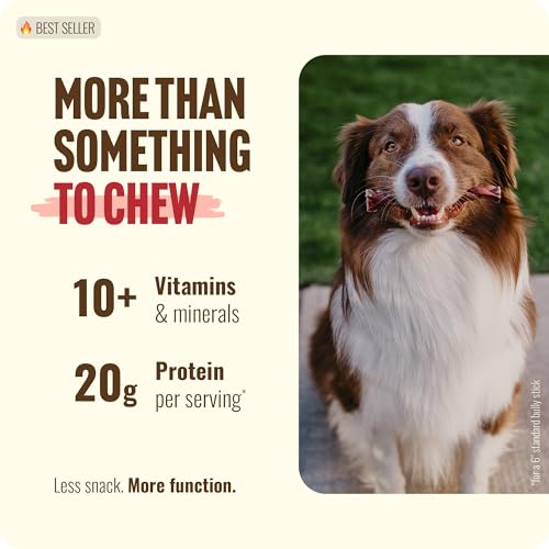Odor Free Braided Bully Sticks (4-5" Braided - 10 Count)