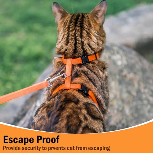 Adjustable Cat Harness and Leash Set Escape Proof Kitten Strap Collar for Walking Travel (Medium / Orange)
