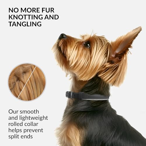 Tangle Free Reflective Leather Dog Collar (Black / XS)