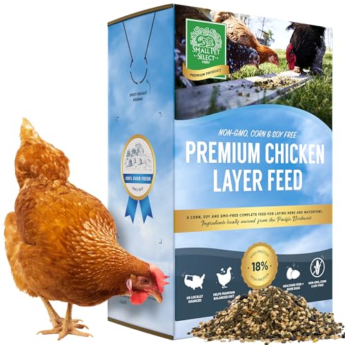 Chicken Layer Feed (10 Pound (Pack of 1))
