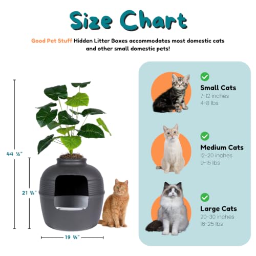 Original Hidden Litter Box Planter (Broad Leaf Philodendron / Essentials Kit / Charcoal Black)