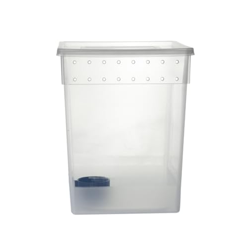 Portable Reptile Terrarium Habitat for Mini Pet Houses Breathable Holes Stackable Container (1PCS-Clear-Extra H)
